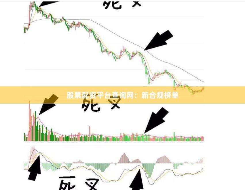 股票配资平台查询网：新合规榜单