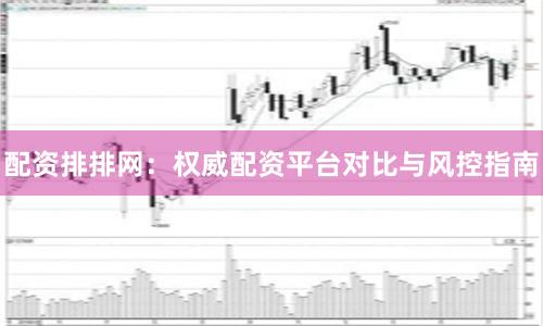 配资排排网：权威配资平台对比与风控指南